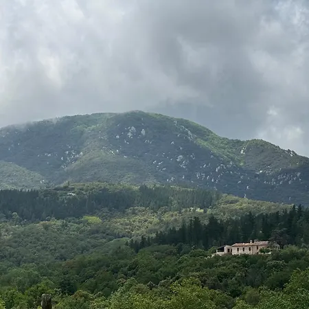 Masia De Roig