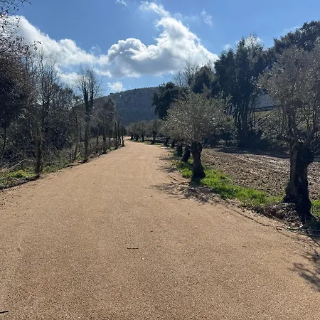 Masia De Roig *