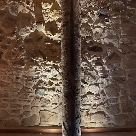 Estada en una granja Masia De Roig