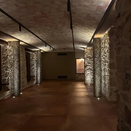 Masia De Roig